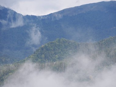 Sis carpatian dağlarda Köyü'nde 