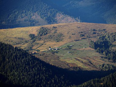 Yeşil orman köyünde Karpat Dağları 