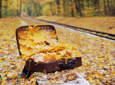 Sarı akçaağaç dolu çanta yere bırakır