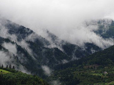 Sis ve buğu carpatian dağlarda Köyü'nde