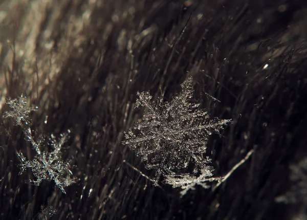Kar Tanesi Kristal Şeffaf Karanlık Mavi Malzeme Sol Köşesinde Döşeme — Stok fotoğraf