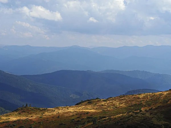 Karpatischen Bergen Blick Von Oben Auf Grünen Wald — Stockfoto