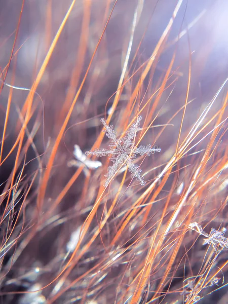 Snowflake Beautifull Colorful Background Macro — Stock Photo, Image