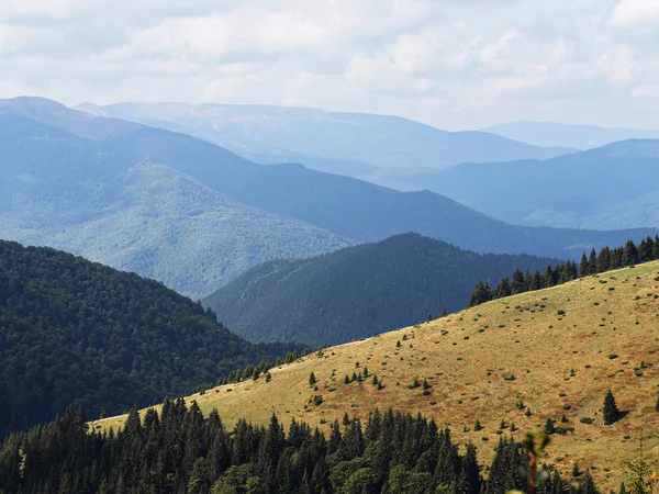 Yeşil Orman Ile Carpatian Dağları — Stok fotoğraf