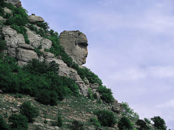 Гори Криму Зелений Ліс Село — стокове фото