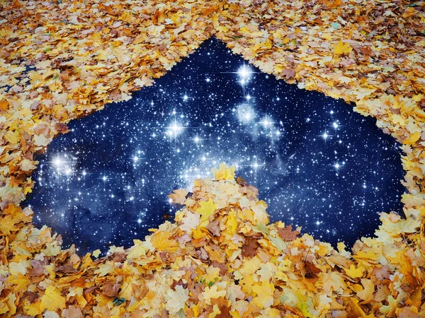 Herz Aus Gelbem Herbst Ahorn Verlässt Straße Ins Universum — Stockfoto