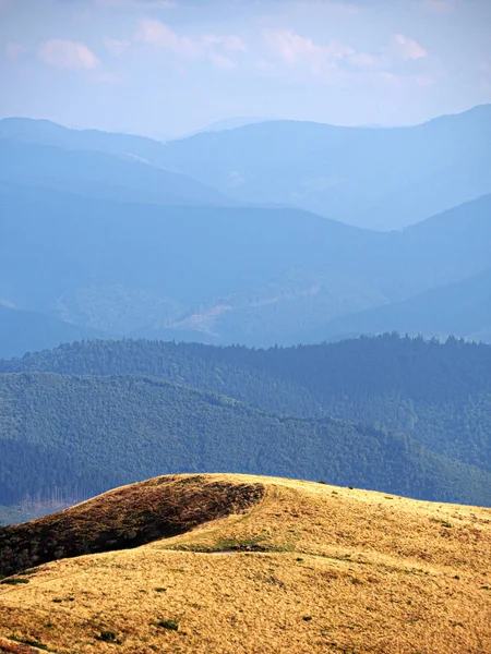 Carpatian Hory Vesnice Zelený Les — Stock fotografie