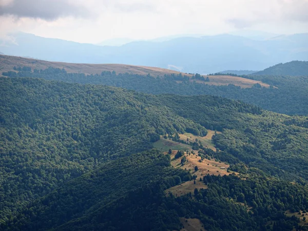 Καρπάθια Βουνά Χωριό Στο Καταπράσινο Δάσος — Φωτογραφία Αρχείου