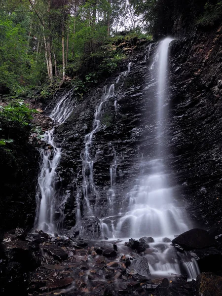 Şelale yeşil yağmurlu çam ormanı, carpatian Dağları 
