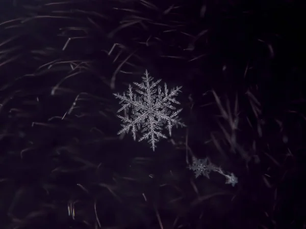 Schneeflocke Schön Auf Dem Bunten Hintergrund Makro — Stockfoto