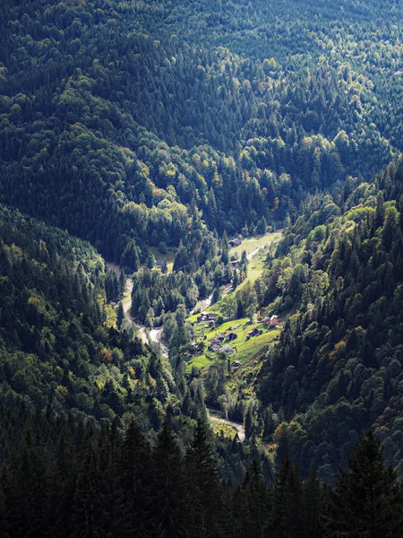 Karpaten Dorf Grünen Wald — Stockfoto