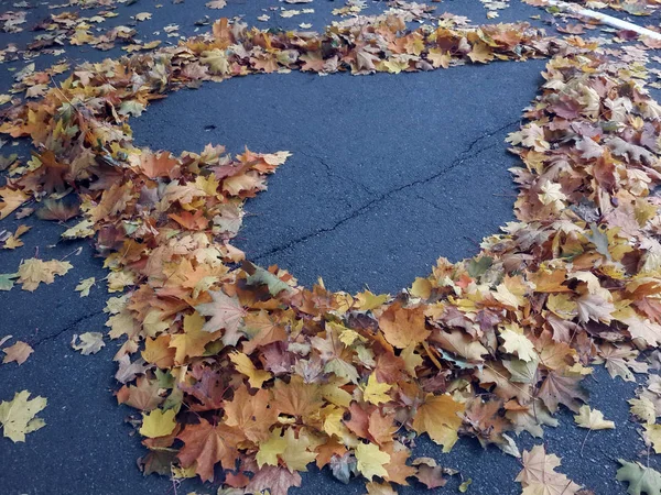 Coeur Des Feuilles Érable Automne Asphalte — Photo