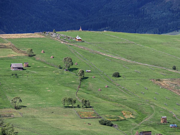 Wieś Karpat Zielonym Lesie — Zdjęcie stockowe