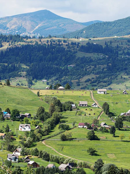 Wieś Karpat Zielonym Lesie — Zdjęcie stockowe