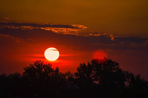 big red sun over the trees