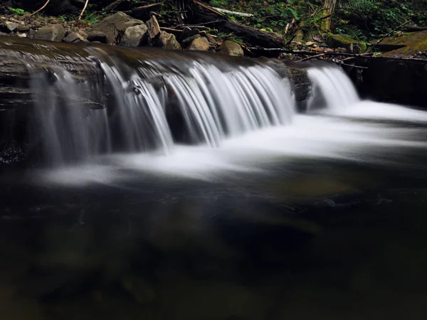 Cascata Alle Montagne Carpatiche Foresta Verde — Foto Stock