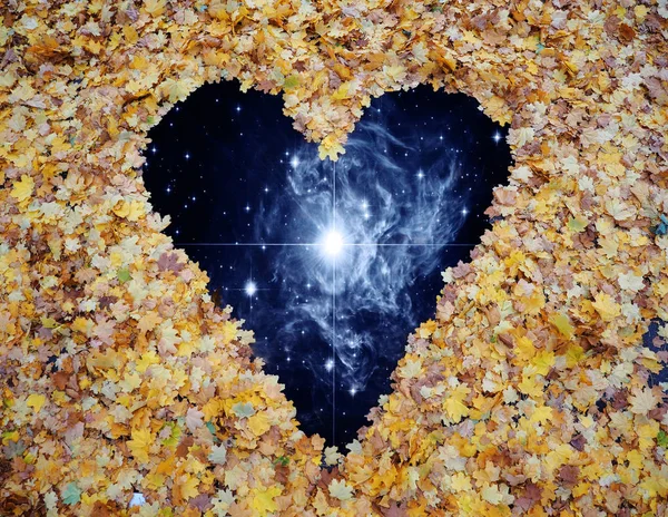 Coeur Feuilles Érable Jaune Automne Route Vers Univers — Photo