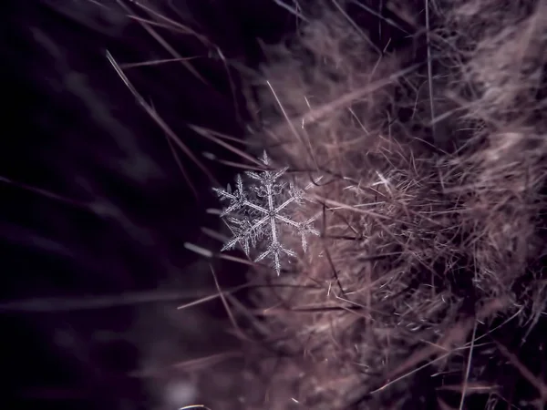 Flocon Neige Magnifiquement Sur Fond Coloré Macro — Photo