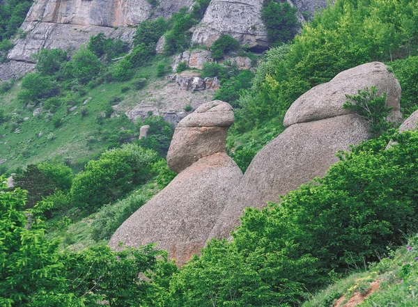 Montanhas Crimeia Floresta Verde Aldeia — Fotografia de Stock
