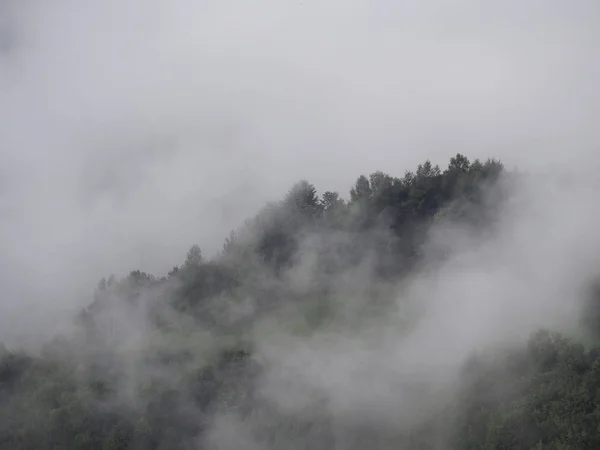 Brouillard Village Dans Les Montagnes Carpatiennes — Photo