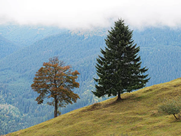 Blick Von Oben Auf Die Karpatischen Berge — Stockfoto