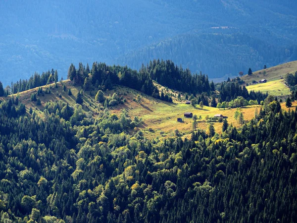 Villaggio Montuoso Dei Carpazi Nella Foresta Verde — Foto Stock