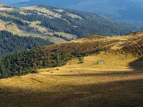 Karpaten Dorf Grünen Wald — Stockfoto