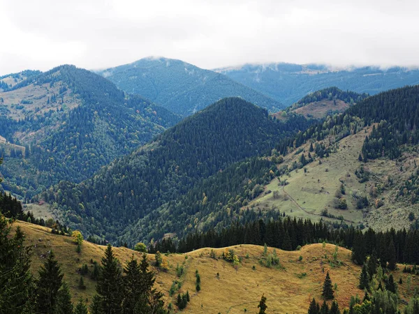 Carpatian Montagne Vista Dall Alto — Foto Stock