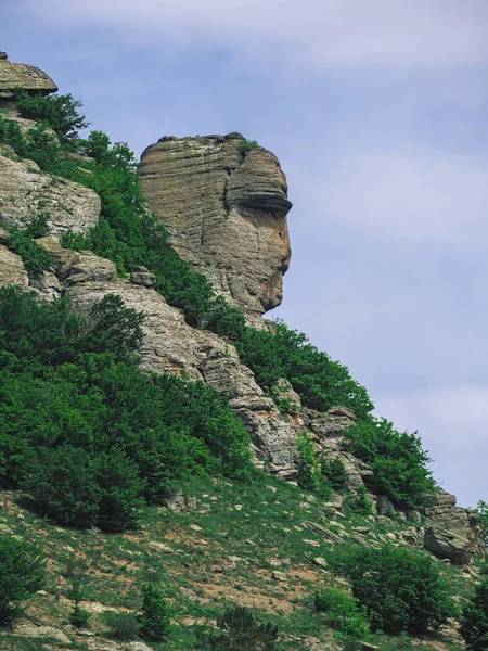 Горы Crimea Зеленый Лес Деревня — стоковое фото