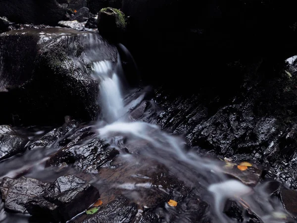 Cachoeira Nas Montanhas Carpáticas Floresta Pinheiros Chuvosos Verdes — Fotografia de Stock