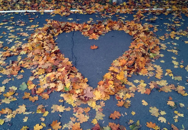 Heart from autumn maple leaves at the asphalt