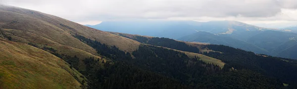 Гуманітарний Інститут Прикарпатського Гори Селі Зелений Ліс — стокове фото