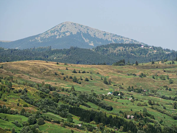 Montagne Carpatiche Paesaggi Estivi — Foto Stock