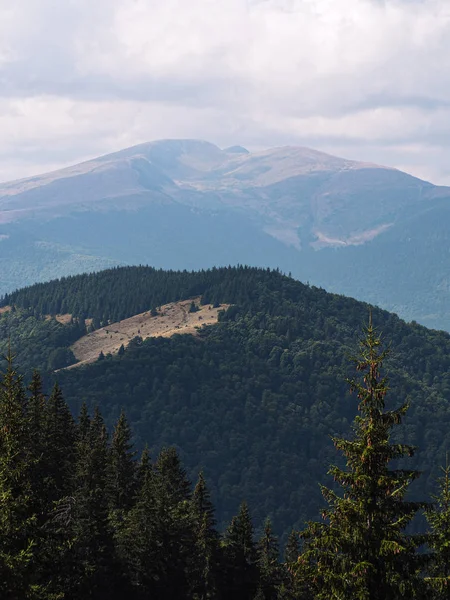 Carpatian Montañas Con Bosque Verde — Foto de Stock