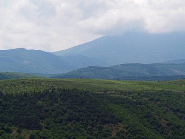 Kırım ve yeşil orman Dağları