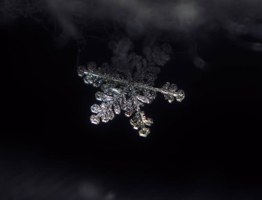 Kar tanesi kristal transparen ayakta karanlıkta nightl parlak