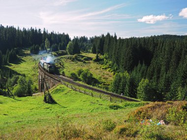 Carpatian dağlar yaz manzaraları Tren