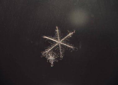 Kar tanesi üzerinde gri mavi arka plan büyük