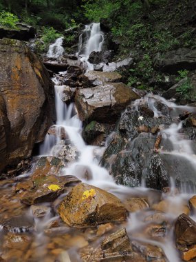 Carpatian dağlar yeşil orman şelale