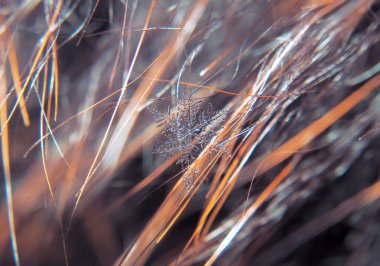 Kar tanesi güzel renkli arka plan makro üzerinde