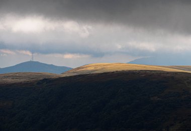 Carpatian dağlar yeşil orman köyünde 