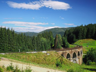 Carpatian dağlar yaz manzaraları