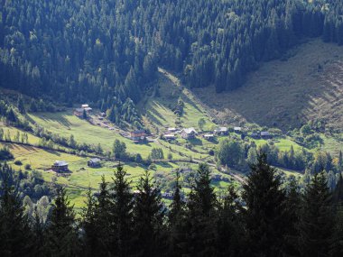 Yeşil orman köyünde Karpat Dağları 