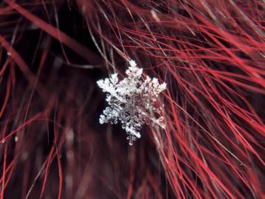 Kar tanesi güzel renkli arka plan makro üzerinde
