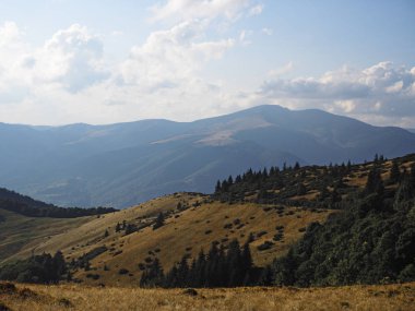 Carpatian dağlar yeşil orman köyünde 