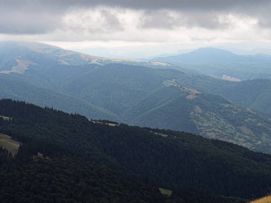 Carpatian dağlar ve yeşil orman 