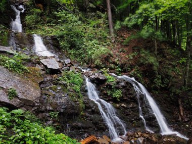 Carpatian dağlar yeşil orman şelale