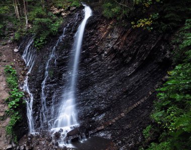 Şelale yeşil yağmurlu çam ormanı, carpatian Dağları 