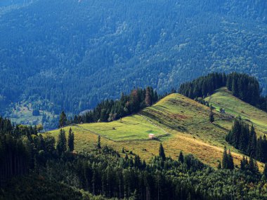 Üstten Carpatian dağlar görünüm