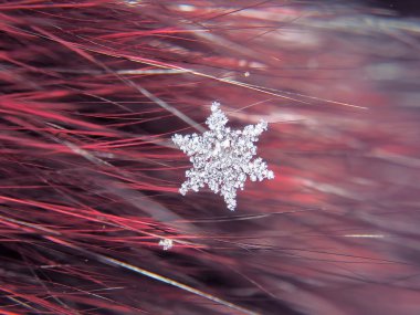 Kar tanesi güzel renkli arka plan makro üzerinde